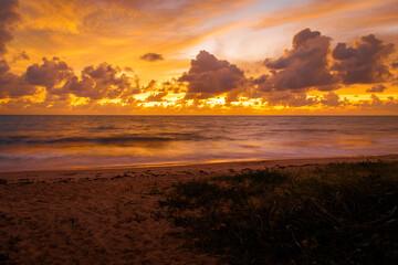 Golden sunset over ocean horizon with sandy beach and coastal vegetation © Socrates_Soares