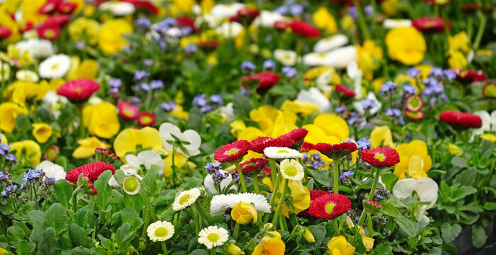 Ostergr&uuml;&szlig;e aus der G&auml;rtnerei - Easter greetings from the nursery