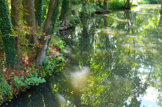 Quiet waterway in Lehde near L&uuml;bbenau in the Spreewald with densely vegetated banks, tall trees and green reflections in the calm water.