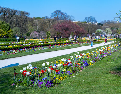un parterre de fleurs au printemps dans le jardin des plantes &agrave; Paris en France