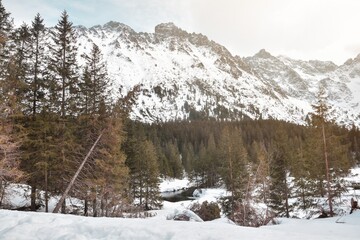 Majestic peaks of High Tatra mountains in winter sun, warm golden hour light over snowy pine forest in Poland on the way to Morskie Oko © Noemi