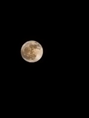 Obraz premium Clear to the moon
