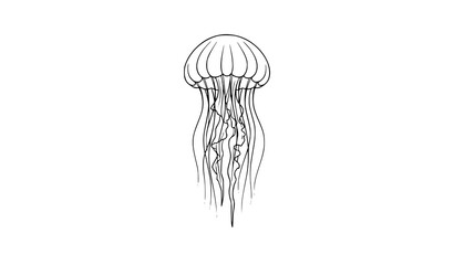 Modern minimal jellyfish line art vector with thin outline marine illustration isolated on white © MstNadiya