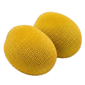 Two round yellow objects with a textured surface placed side by side