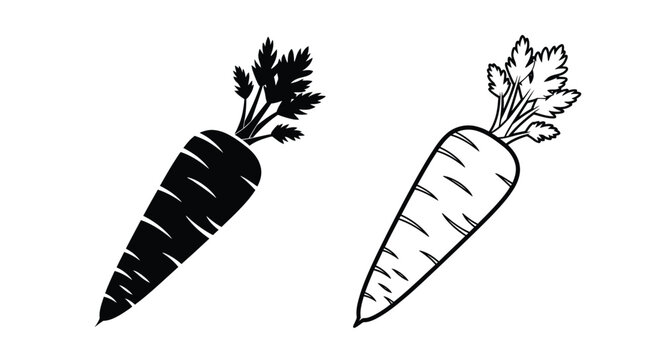 Two carrots illustrated with contrasting line work a bold silhouette