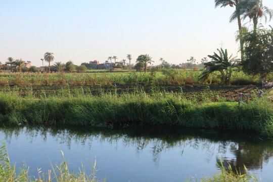 Beautiful water ponds amid greenery and agriculture in Bani Sweif in Egypt 