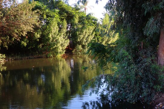 Beautiful water ponds amid greenery and agriculture in Bani Sweif in Egypt 