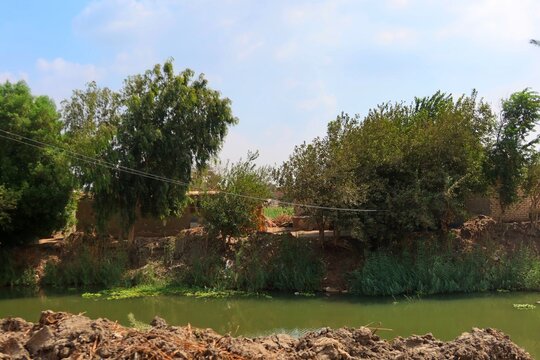 Beautiful water ponds amid greenery and agriculture in Bani Sweif in Egypt 