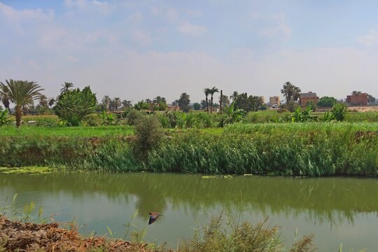 Beautiful water ponds amid greenery and agriculture in Bani Sweif in Egypt 