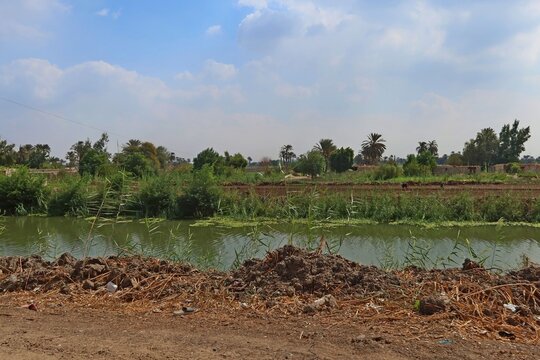 Beautiful water ponds amid greenery and agriculture in Bani Sweif in Egypt 