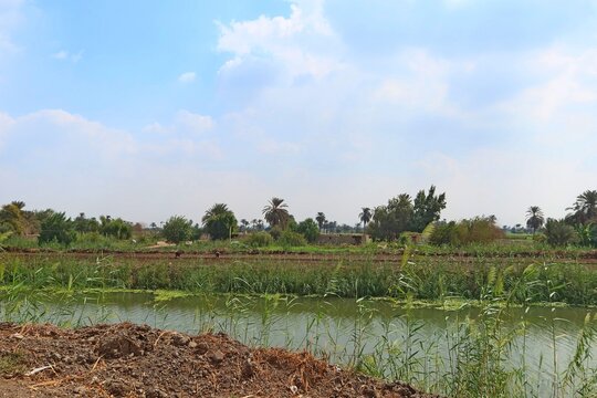 Beautiful water ponds amid greenery and agriculture in Bani Sweif in Egypt 