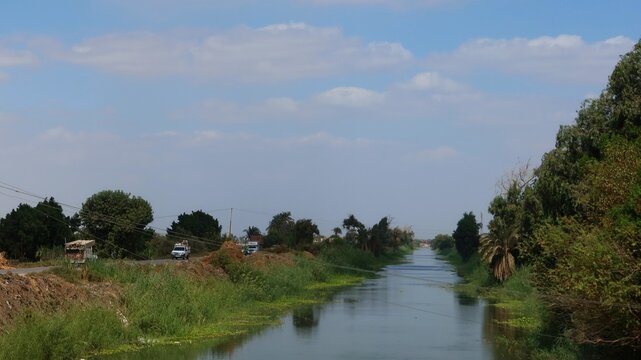 Beautiful water ponds amid greenery and agriculture in Bani Sweif in Egypt 