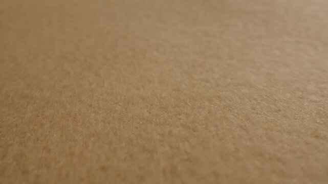 Light brown Beige wool coat background, natural sheepskin close-up macro coat. Top view