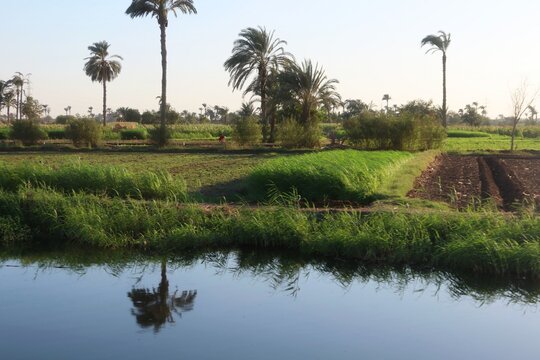 Beautiful water ponds amid greenery and agriculture in Bani Sweif in Egypt 