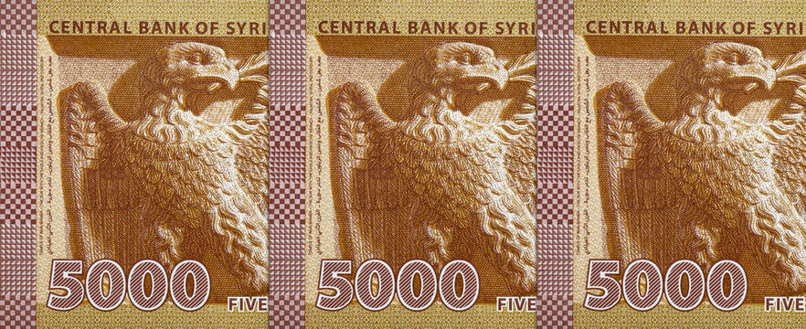 5000 Syrian Pounds Banknote featuring the Eagle of Saladin and Ancient Palmyra Relief. Money of Syria.