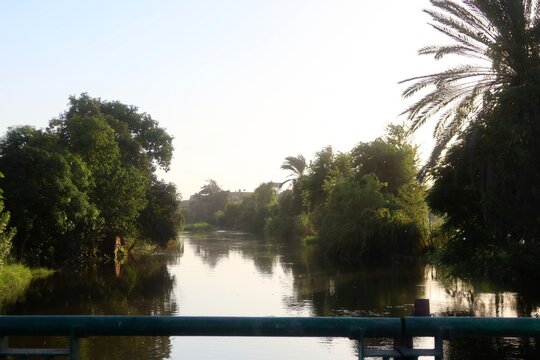 Beautiful water ponds amid greenery and agriculture in Bani Sweif in Egypt 