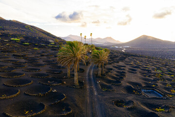 Obraz premium La Geria, Lanzarote, Canary Islands, Spain