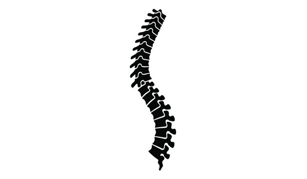 Silhouette of a human spine on a white background detailed medical illustration
