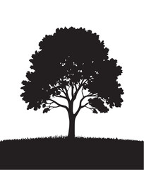 Fototapeta premium Black silhouette of a full grown deciduous tree standing on a grassy hill