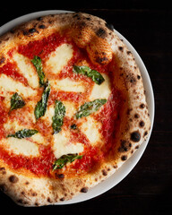 Margherita Pizza Partial Pizza