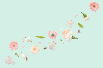 Fototapeta premium Spring flowers on a green background. Summer aesthetic pastel concept.