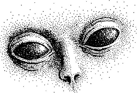 Alien face closeup with large eyes stippled black and white study showing textured skin and subtle nose for sci fi poster or background