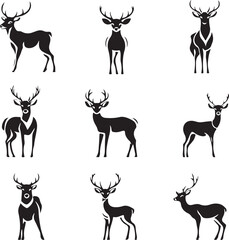 Fototapeta premium Collection of deer in various poses.