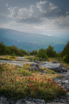 View West Off Cadillac Mountain
