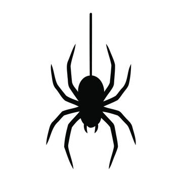 Hanging Spider Silhouette Icon - Spooky Arachnid on Web String Vector for Halloween