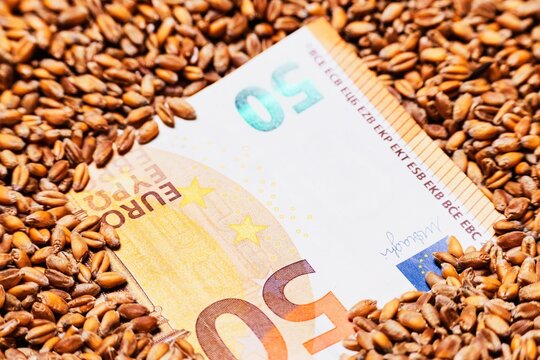 Fifty Euro banknote surrounded by ripe wheat grains, symbolizing agricultural wealth