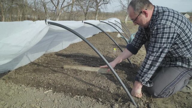 Man or Gardener in plaid shirt kneels in garden, using a wooden tool to level soil under a protective cover in a rural outdoor setting