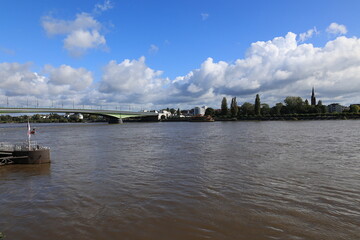 Fototapeta premium Blick auf den Rhein bei Bonn 
