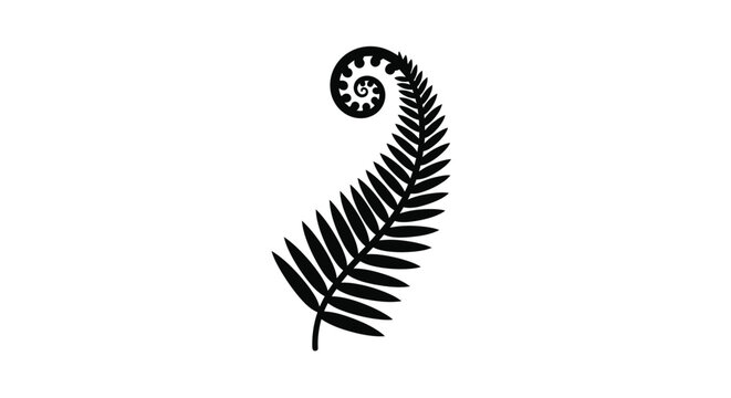 A striking black fern frond design a captivating silhouette