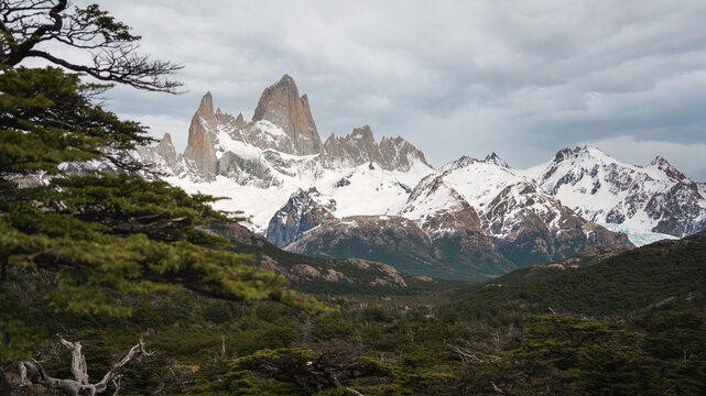 Mount Fitz Roy peak and snowy mountains with forest in El Chalten Patagonia