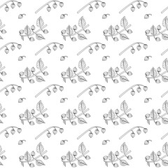 Obraz premium Physalis branch in doodle style. Seamless pattern.