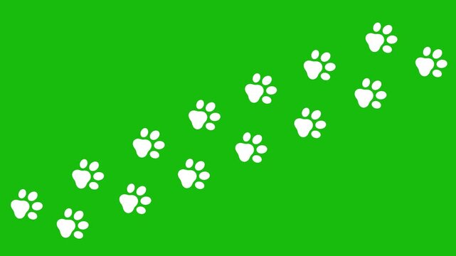 Animal Paw Prints Trail Animation on Green ScreenFootstep Path Motion Graphic for Pet and Wildlife Concept