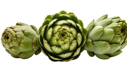 Fototapeta premium Fresh green globe artichokes with tightly packed bracts, beautifully presented and isolated on transparent background for culinary designs