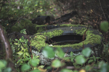 Fototapeta premium Old tire covered in moss, reclaimed by nature in a forest setting