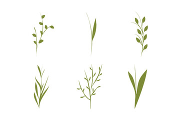 Obraz premium Six unique illustrations of simple green plant stems and leaves are presented.