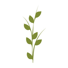 Obraz premium A simple graphic depicts a single green plant stem rising vertically. It has five oval-shaped green leaves emerging from opposite sides along its length.