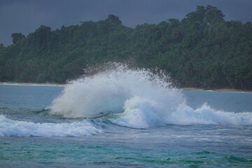 Obraz premium Powerful wave explodes into white spray near a forested tropical shoreline. Dark greenery in the background contrasts with the bright foam, capturing raw energy of the sea along remote island coast.