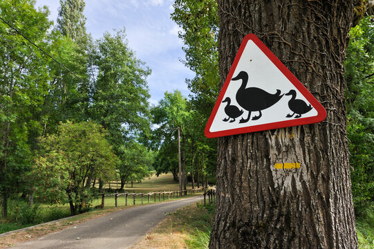 Unusual road sign warns drivers of family of ducks crossing near a pathway in the Lot department of France