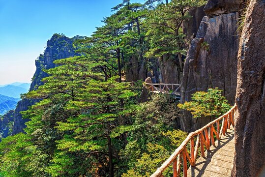 Cliffside walkway offers views of trees and mountains at Huangshan UNESCO site in Anhui Province China
