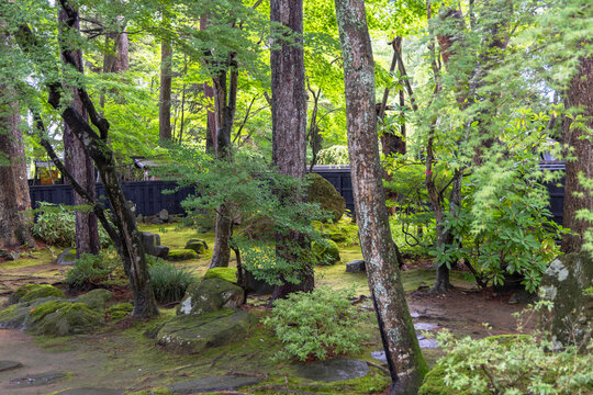 Visit to Kawarada-ke Samurai House Garden located in Kakunodate Akita Japan with lush greenery and stone arrangements