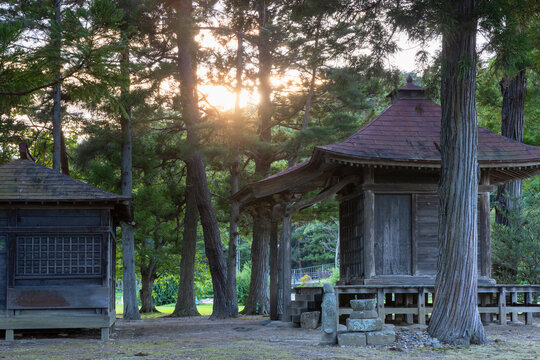 Sunset at Kanjizaio-in Ato temple with trees in Hiraizumi Iwate Japan