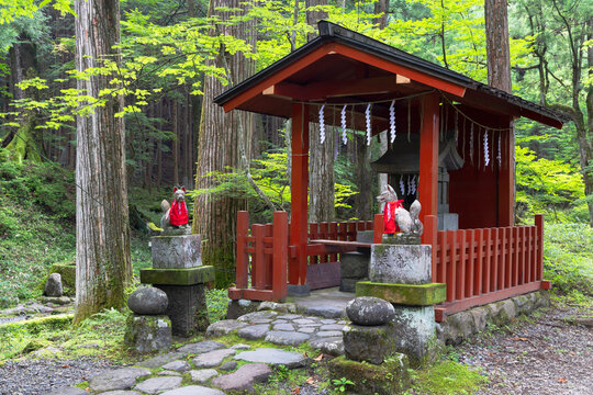 Visit to Takinoo Shrine shows traditional Japanese architecture in a natural setting in Nikko Tochigi Japan