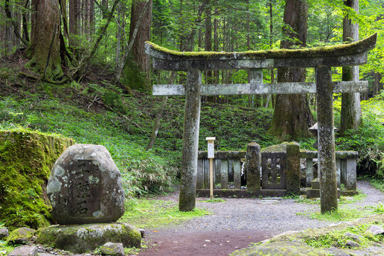 Fertility stone and torii gate at Takinoo Shrine in Nikko Tochigi Japan showcasing nature and cultural heritage