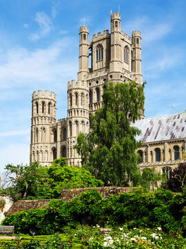 Ely Cathedral stands tall in Ely Cambridgeshire with clear blue skies above and greenery surrounding its base