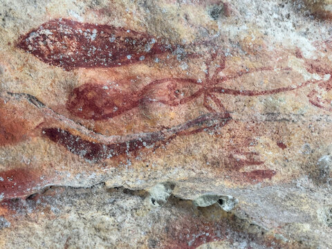Ancient rock art depicts cultural history on limestone cliffs in Berau Bay, Papua, Indonesia