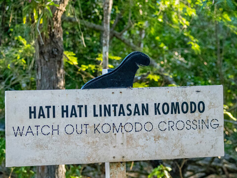 Sign indicating Komodo dragon crossing on Komodo Island in Indonesia warns visitors about the presence of large lizards